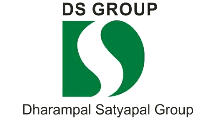 ds-group-logo
